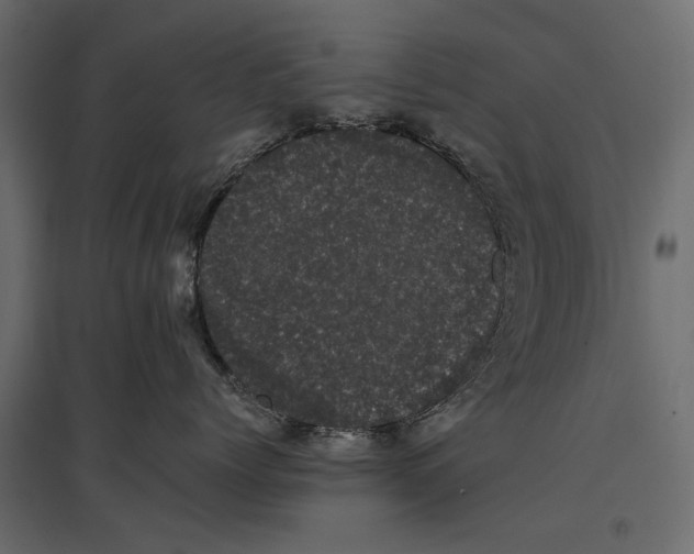 X0000096980768200803071029