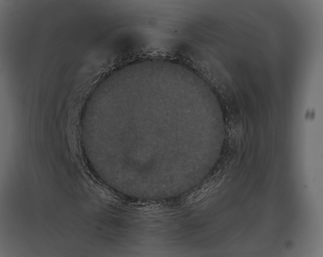 X0000096980769200803071028