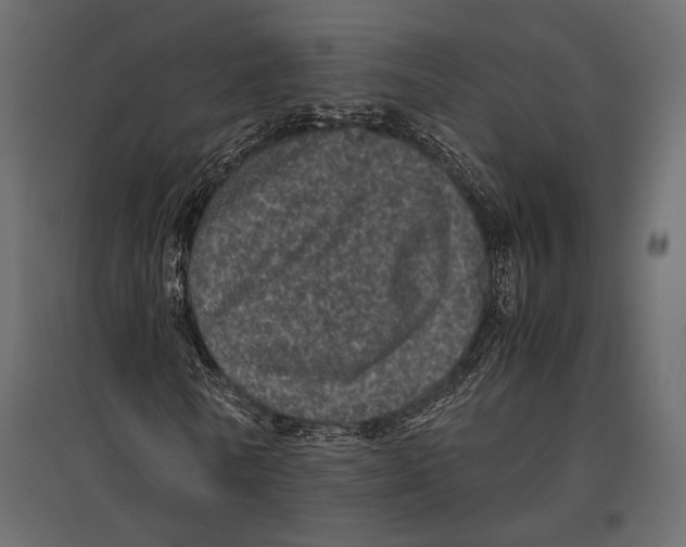 X0000096980770200803071028