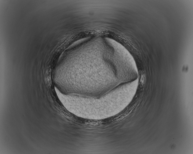 X0000096980771200803071028