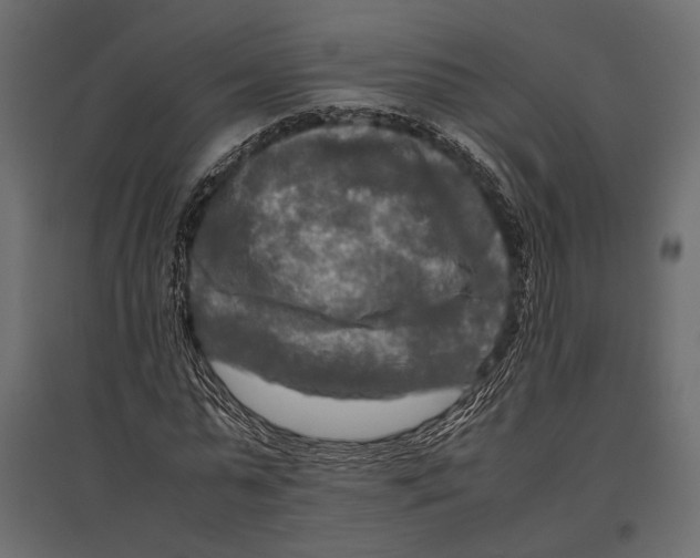 X0000096980775200803071028