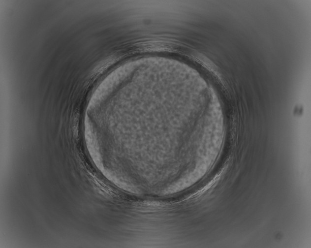 X0000096980777200803071028