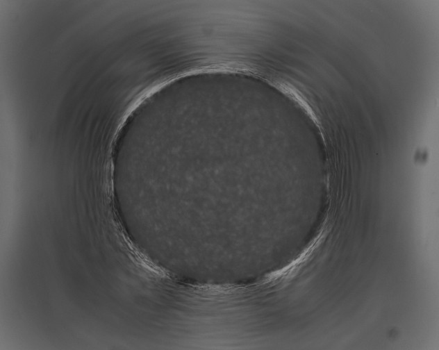 X0000096980781200803071028