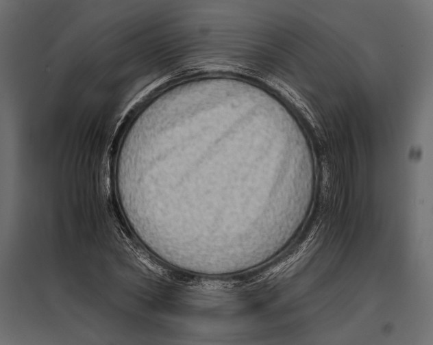 X0000096980782200803071028