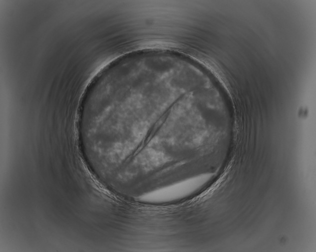 X0000096980783200803071028