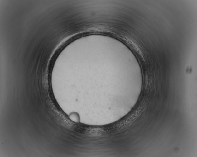 X0000096980784200803071028