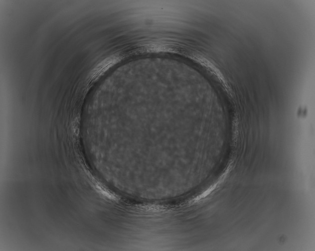 X0000096980785200803071028