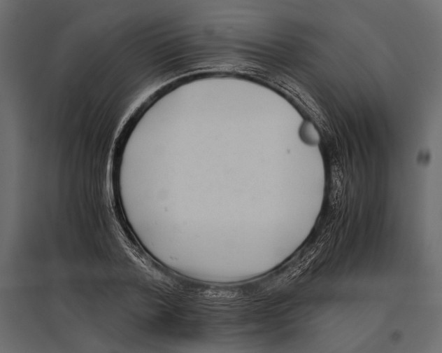 X0000096980788200803071028