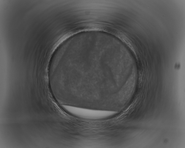 X0000096980789200803071028