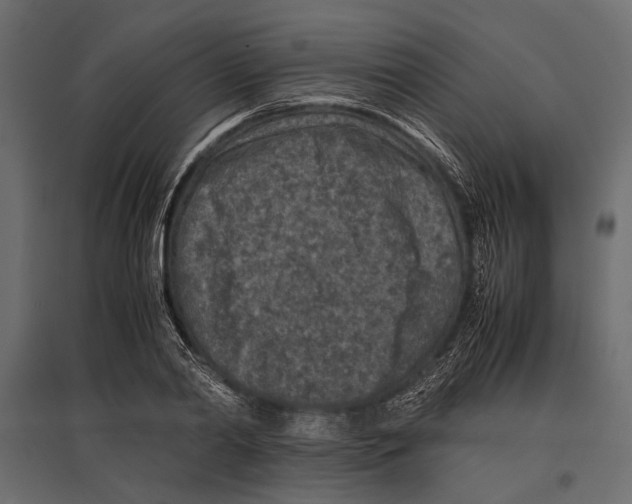 X0000096980790200803071028