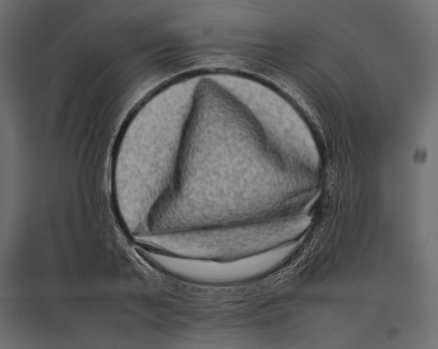 X0000096980791200803071028