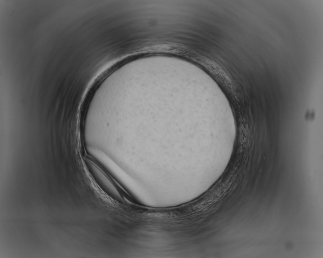 X0000096980792200803071028