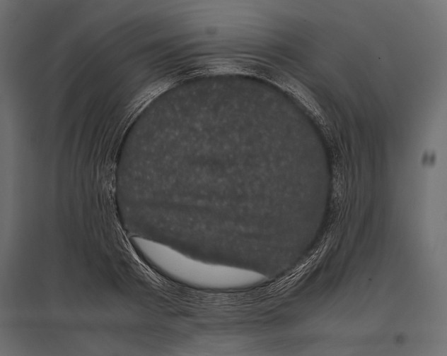 X0000096980793200803071028