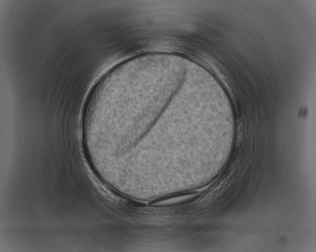 X0000096980795200803071028