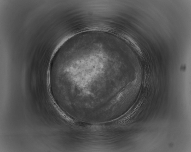 X0000096980796200803071028