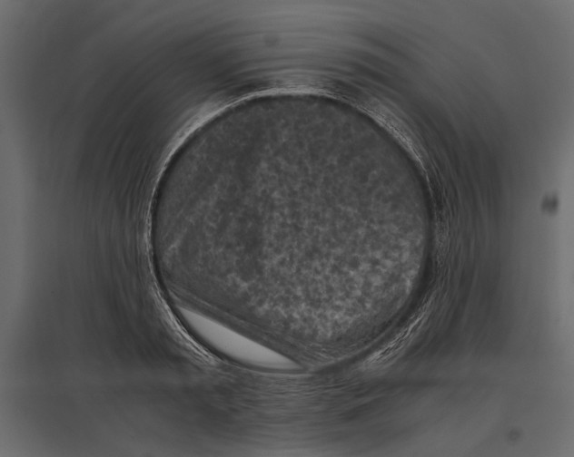 X0000096980797200803071028