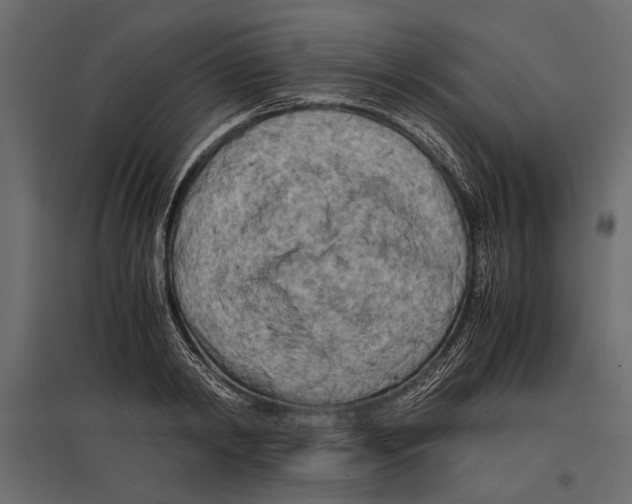 X0000096980798200803071028