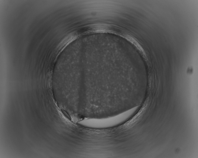 X0000096980801200803071028