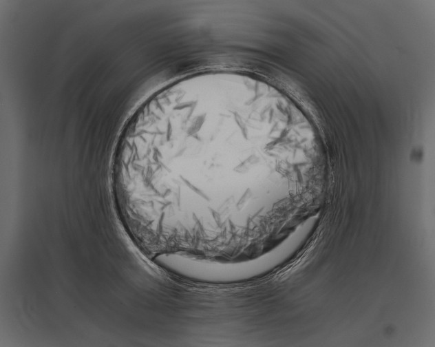X0000096980803200803071028