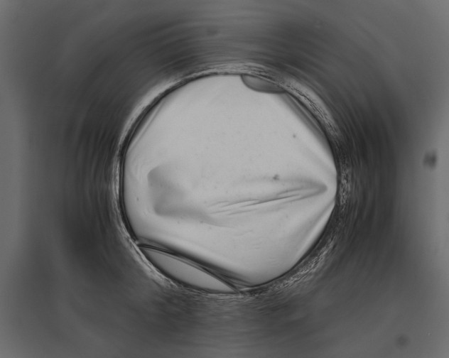 X0000096980804200803071028