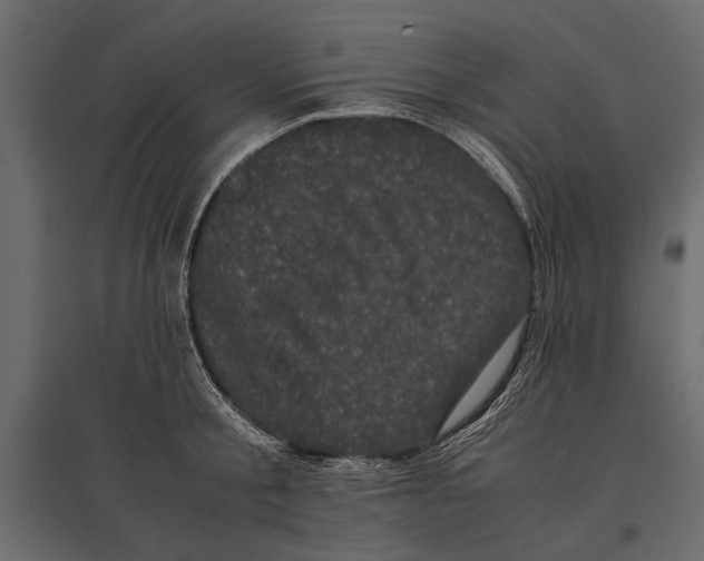 X0000096980805200803071028