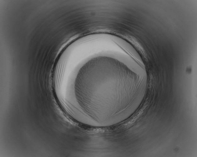 X0000096980806200803071028