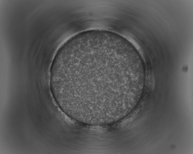 X0000096980807200803071028