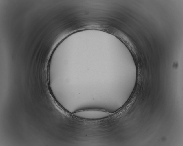 X0000096980808200803071028