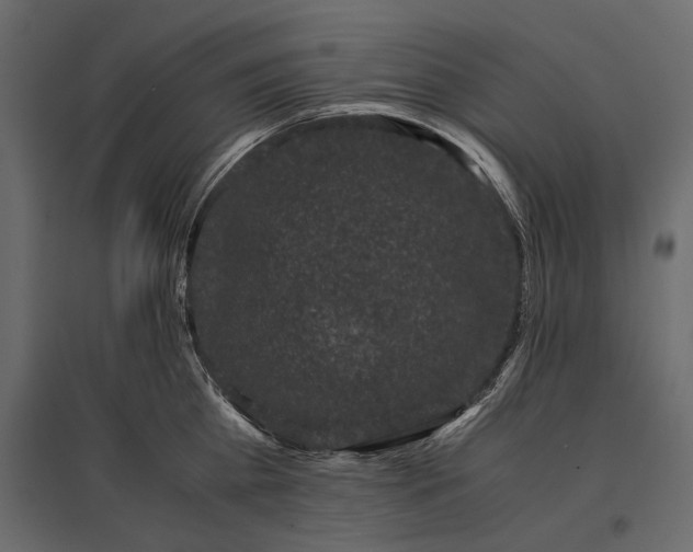 X0000096980809200803071028