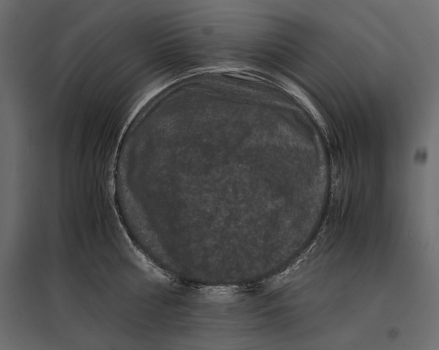 X0000096980810200803071028