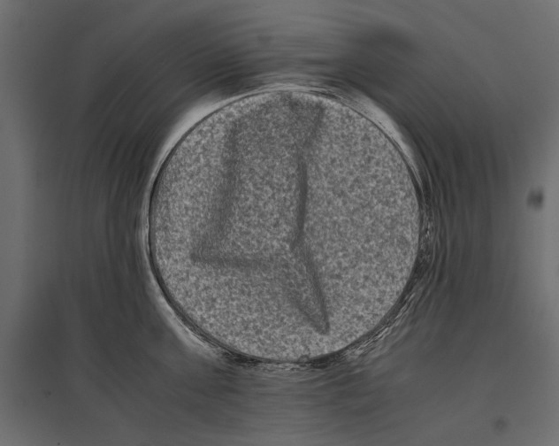 X0000096980811200803071028