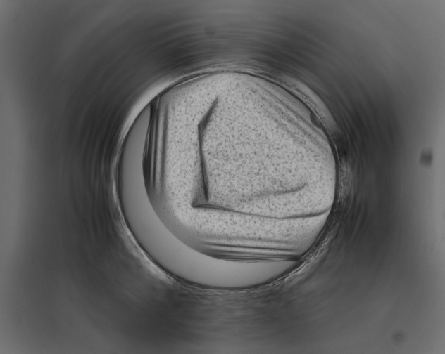 X0000096980812200803071028