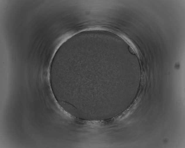 X0000096980813200803071028