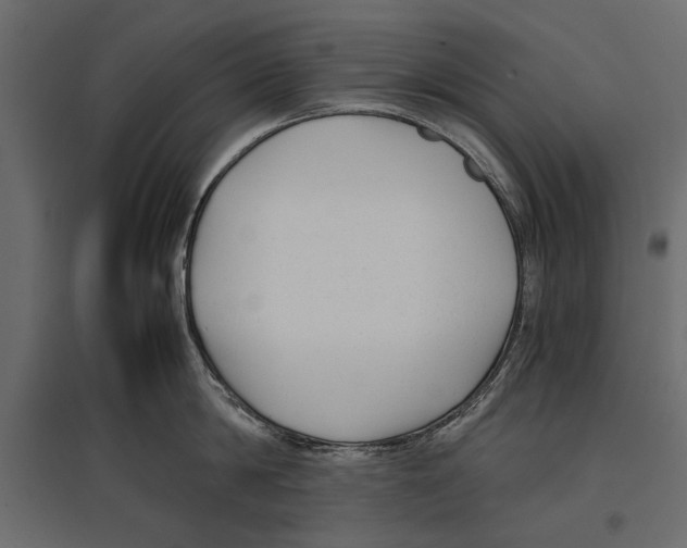 X0000096980814200803071028