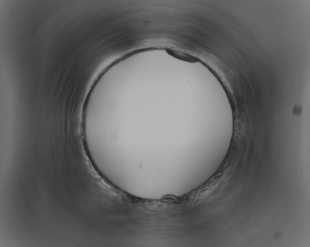 X0000096980815200803071028