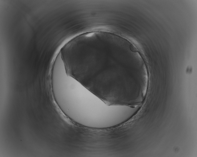 X0000096980816200803071028