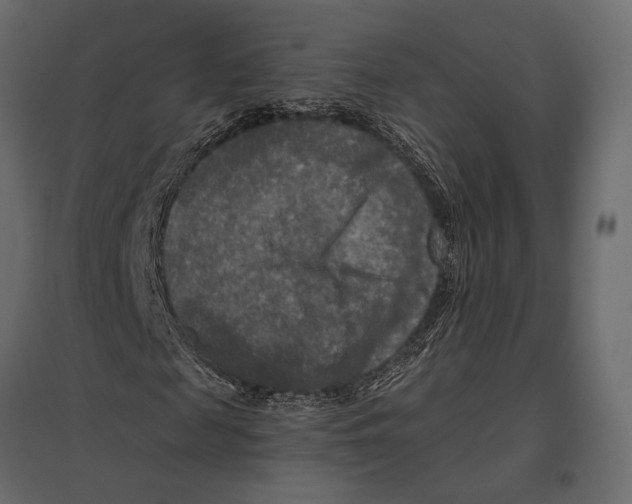 X0000096980817200803071027