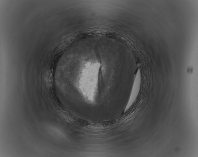 X0000096980818200803071027