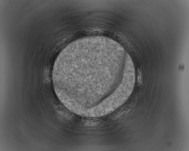 X0000096980819200803071027