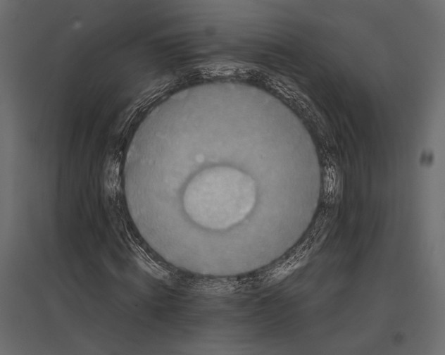 X0000096980820200803071027