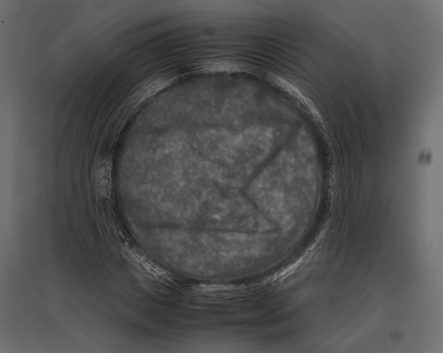 X0000096980825200803071027