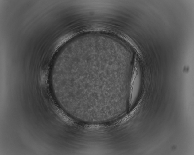 X0000096980826200803071027