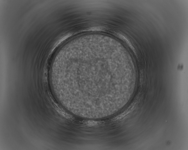 X0000096980827200803071027