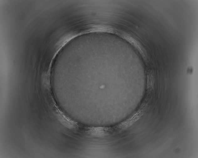 X0000096980828200803071027