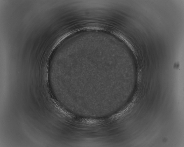 X0000096980829200803071027