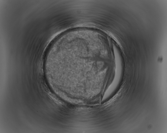 X0000096980830200803071027