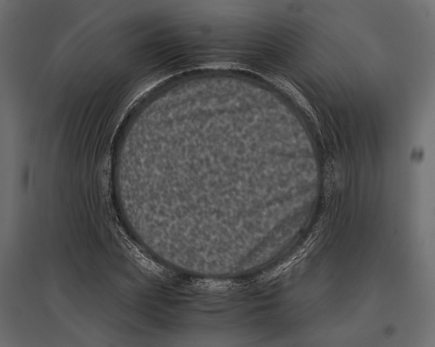 X0000096980831200803071027