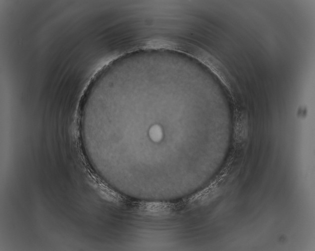 X0000096980832200803071027