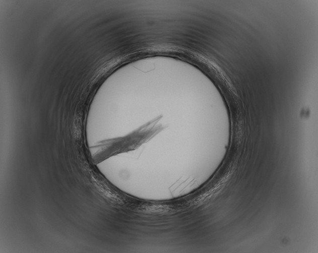 X0000096980833200803071027