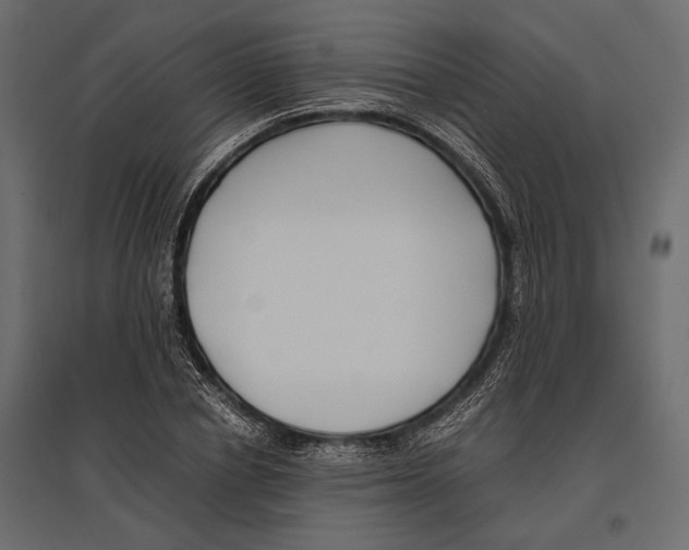 X0000096980834200803071027